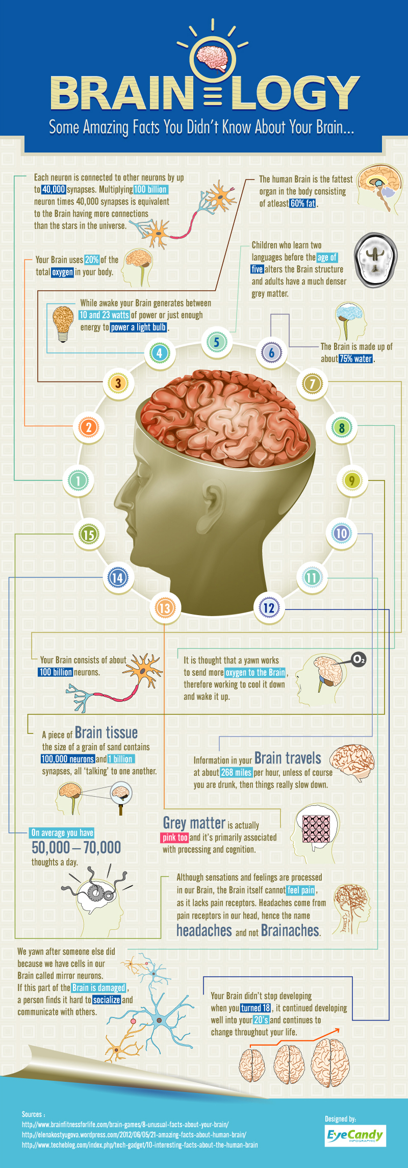 15 Things You Probably Didn&#8217;t Know About Your Brain