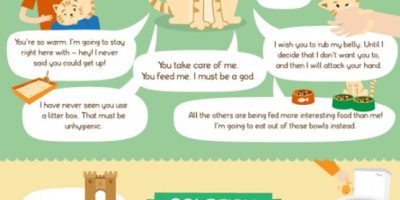 If Your Pet Could Talk Infographic