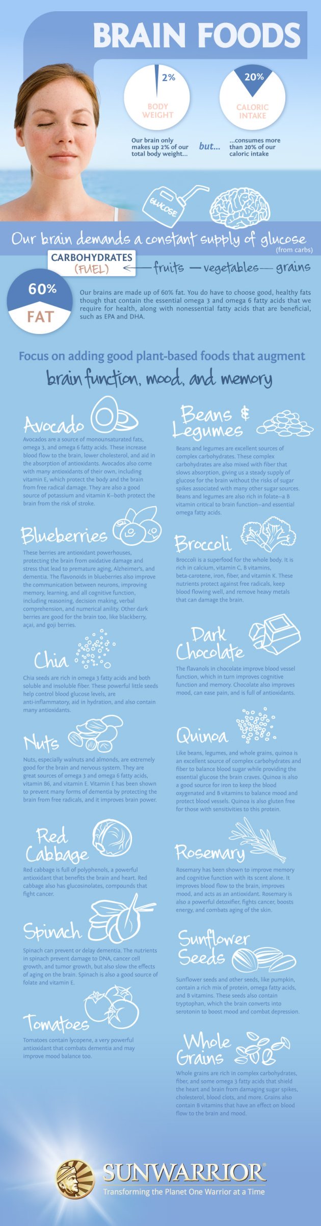 brain foods