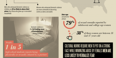 Domestic Violence In the U.S. {Infographic}
