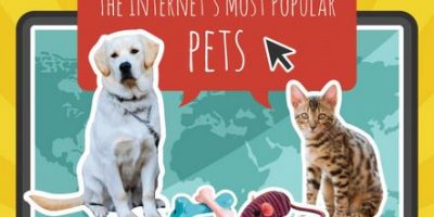 Internet’s Most Popular Pets Infographic