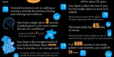 40 Facts About Fitness {infographic}