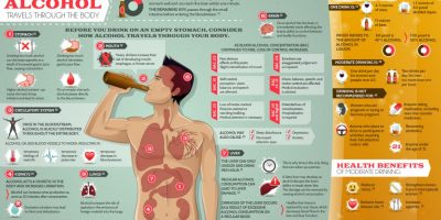 How Alcohol Travels Through the Body {Infographic}