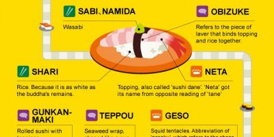 Learn Sushi Terminology {Infographic}