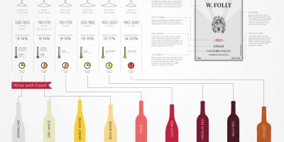 Basic Wine Guide Infographic