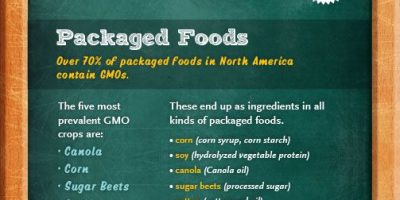 How to Avoid GMOs {Infographic}