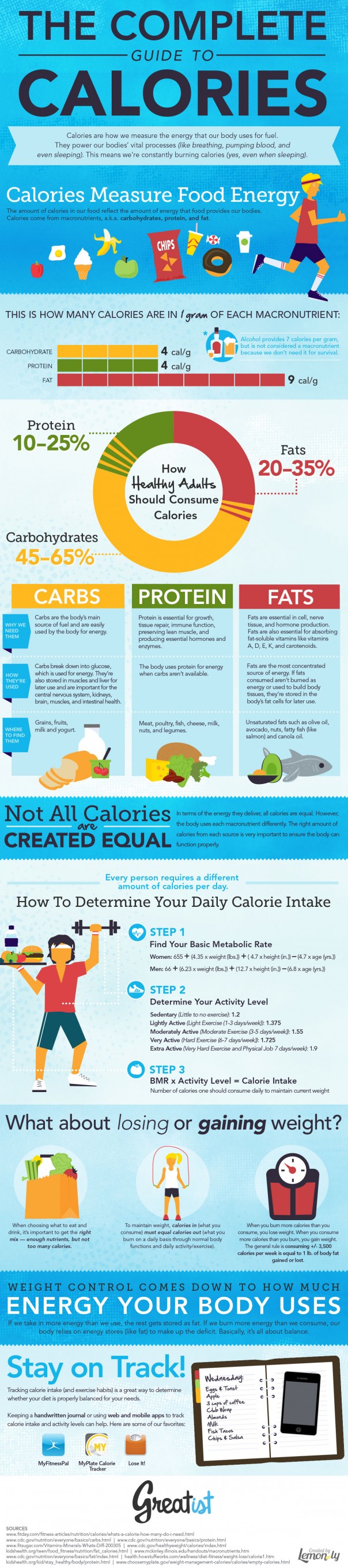 calorie infographic