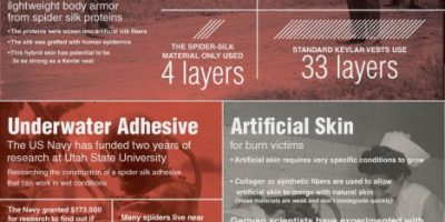 Why Spider Silk Is the Super Material of the Future {Infographic}