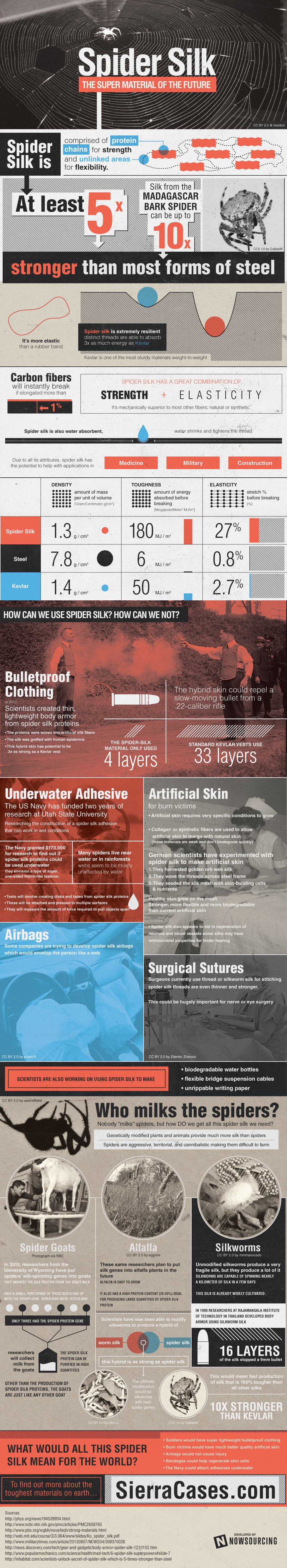 spider silk