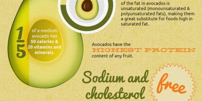 Facts About Avocados (Infographic)