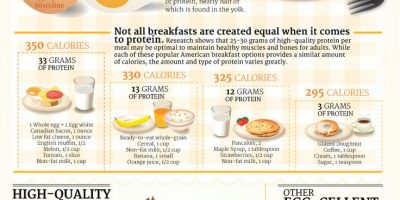 Have a Better Breakfast with Eggs {Infographic}