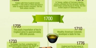 The History of Tea Infographic