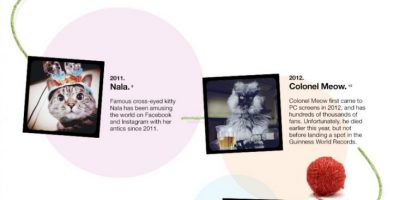 Famous Cats on the Internet {Infographic}