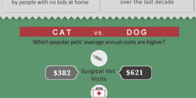 The Cost of Owning a Pet {Infographic}