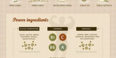 Health Benefits of Garlic {Infographic}
