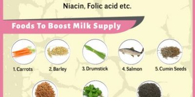 15 Best Foods To Increase Breast Milk [Infographic]