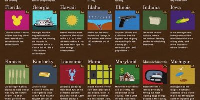 What Does Your State Do Well {Infographic}