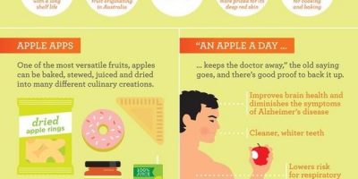 All About Apples {Infographic}