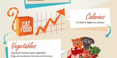 Dogs & Cat: Food Differences {Infographic}