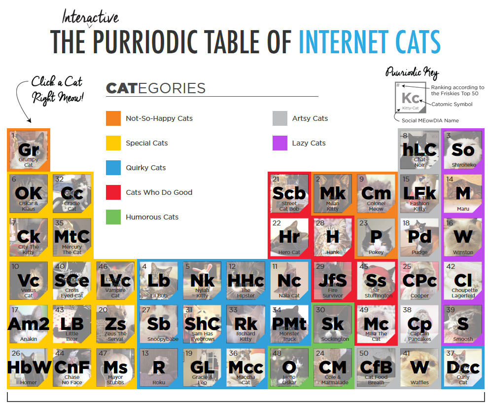 internet cats