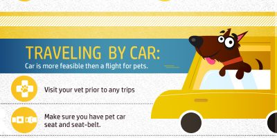 Traveling with Pets {Infographic}