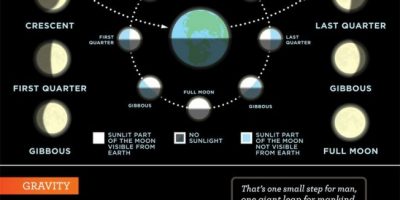 All You Need to Know About the Moon {Infographic}