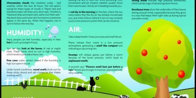 How to Forecast Weather Without Gadgets [Infographic]
