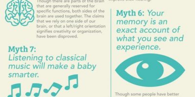 10 Myths About the Human Brain
