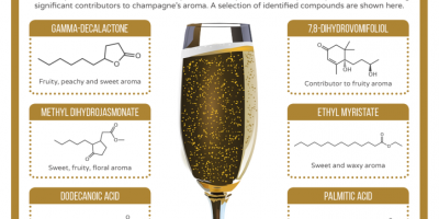 The Chemistry of Champagne {Infographic}