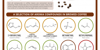 The Aroma of Coffee {Infographic}