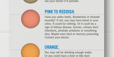 What The Color of Your Urine Says About You {Infographic}