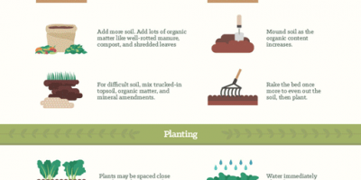 Vegetable Garden Tips {Infographic}