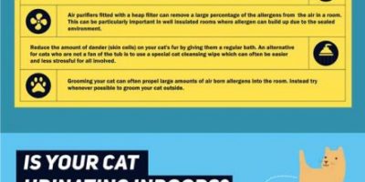 The Cat Owner’s Cleaning Survival Guide {Infographic}