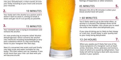 What Happens 24 Hours After Drinking a Beer {Infographic}