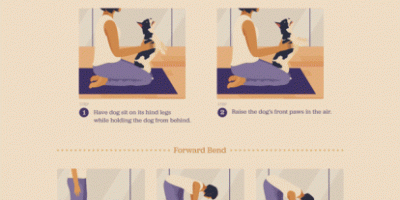 Doga: Yoga with Your Dog {Infographic}