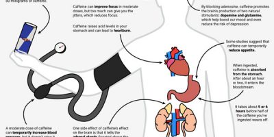 What Caffeine Does To Your Body {Infographic}