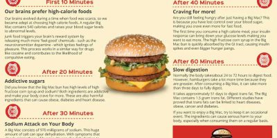 What Happens After Eating a Big Mac? {Infographic}
