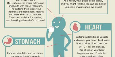 What Happens To Your Body After You Drink Coffee