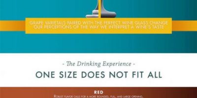 How to Pair Your Wine & Glass {Infographic}