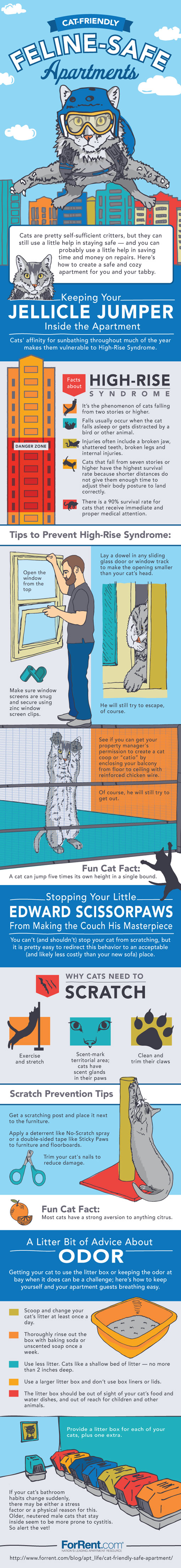 cat-friendly-apartment