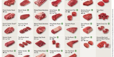 Beef Cuts Infographic
