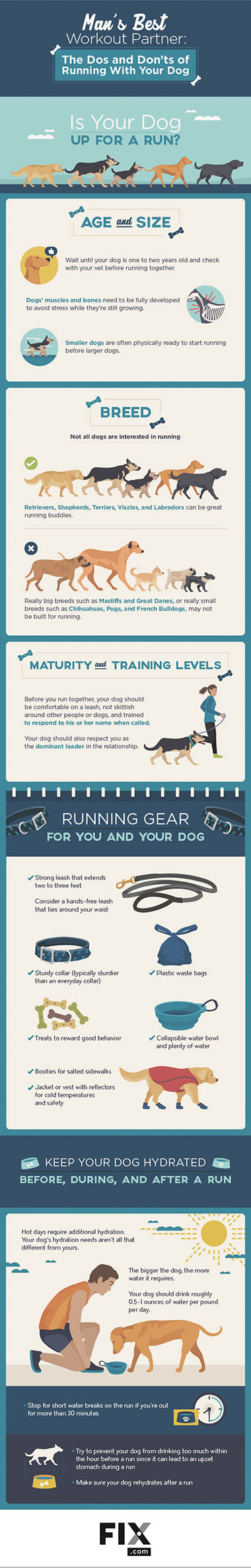 Running with Dogs