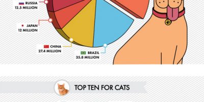Pet Ownership Around the World {Infographic}