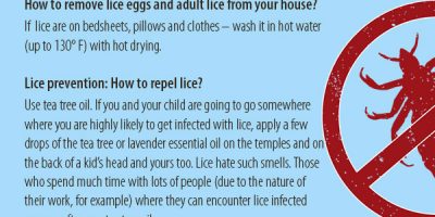 How to Get Rid of Lice {Infographic}