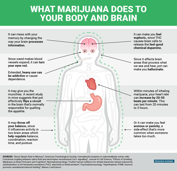 What-Marijuana-Does-To-Your-Body