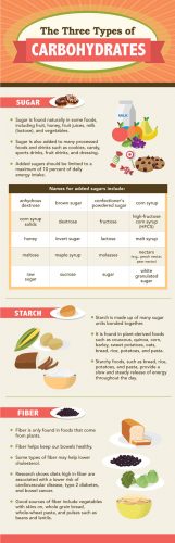 3 Types of Carbohydrates {Infographic} - Best Infographics