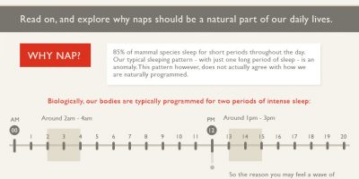 Health Benefits of Napping {Infographic}