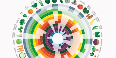 Vegetables by Month: A Guide
