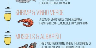 Pairing Wine with Seafood {Infographic}