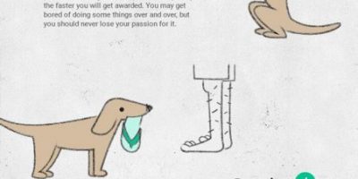 8 Tips from Your Dog On Starting a Career {Infographic}